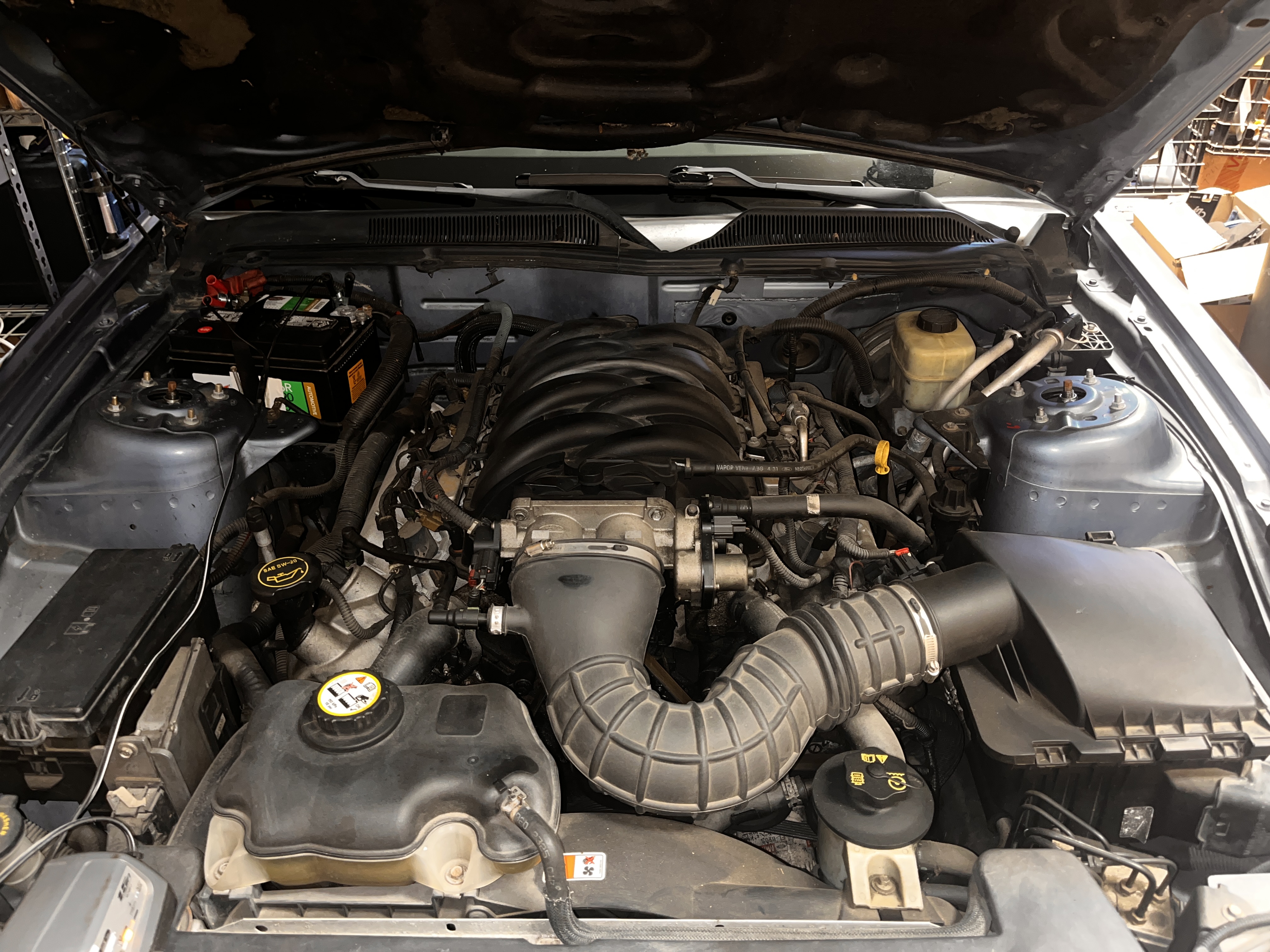 The 4.6 liter V8 in the Mustang during engine diagnosis